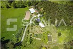  Venta  Sitio en Hualqui  UF21.000 