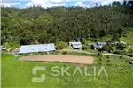  Venta  Sitio en Hualqui  UF21.000 