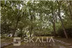  Venta  Sitio en Chiguayante  UF45.000 