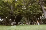  Venta  Sitio en Chiguayante  UF45.000 