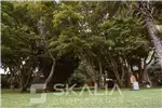  Venta  Sitio en Chiguayante  UF45.000 