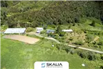  Venta  Sitio en Hualqui  UF21.000 