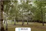  Venta  Sitio en Chiguayante  UF45.000 