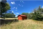  Venta  Parcelas en Quillón  $125.000.000 