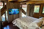  Venta  Parcelas en Pinto  $320.000.000 