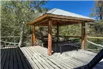  Venta  Parcelas en Pinto  $320.000.000 