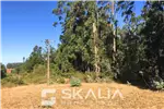  Venta  Sitio en Talcahuano  $180.000.000 