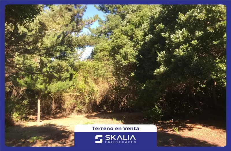 Sitio en Talcahuano