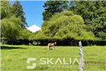  Venta  Sitio en Temuco  UF740 