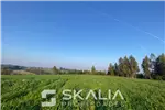  Venta  Sitio en Temuco  UF1.400 