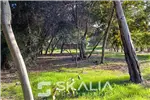  Venta  Parcelas en Yumbel  $160.000.000 