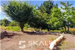 Venta  Parcelas en Tomé  $220.000.000 