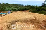  Venta  Sitio en Tomé  UF2.900 