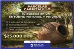  Venta  Sitio en Chillán  $25.000.000 