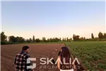 Venta  Sitio en Chillán  $25.000.000 