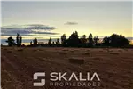  Venta  Sitio en Chillán  $25.000.000 