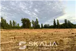 Venta  Sitio en Chillán  $25.000.000 