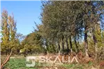  Venta  Sitio en Chillán  $25.000.000 