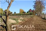  Venta  Sitio en Chillán  $25.000.000 