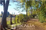  Venta  Sitio en Chillán  $25.000.000 
