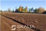  Venta  Sitio en Chillán  $25.000.000 