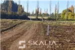  Venta  Sitio en Chillán  $25.000.000 