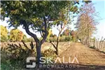  Venta  Sitio en Chillán  $25.000.000 