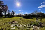  Venta  Sitio en Chillán  UF48.000 