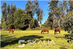  Venta  Sitio en Chillán  UF48.000 
